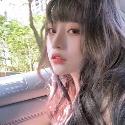 碰碰狐警察小英雄最新版下载